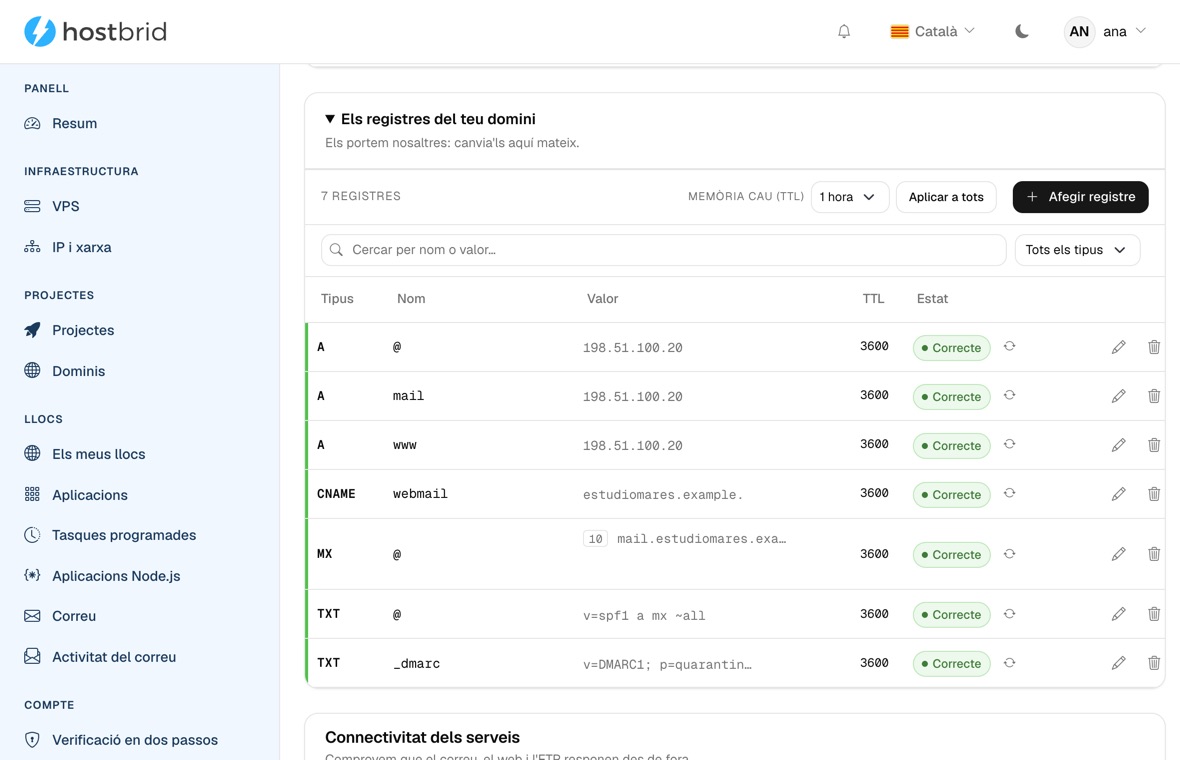 Editor de zona DNS del panell amb els registres del domini: l’A del servidor, la del correu i la de www, el CNAME del webmail, l’MX i dos registres TXT amb l’SPF i el DMARC, tots amb el seu TTL i marcats com a «Correcte».