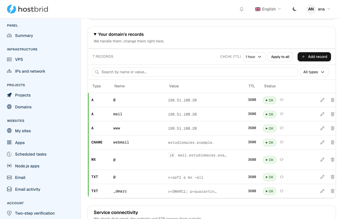The panel’s DNS zone editor with the domain’s records: the A record of the server, of the mail host and of www, the webmail CNAME, the MX and two TXT records holding SPF and DMARC, each with its TTL and marked “OK”.