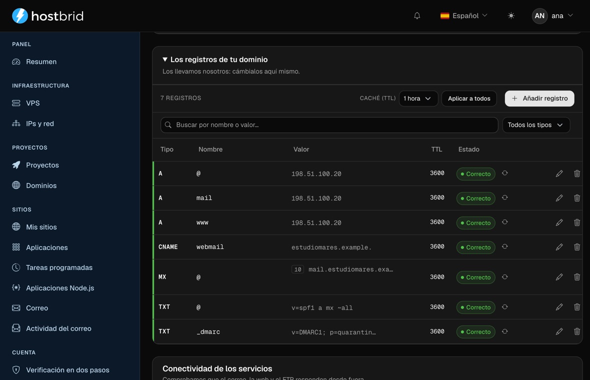Editor de zona DNS del panel con siete registros A, CNAME, MX y TXT marcados como correctos, con su TTL y el botón de editar en cada fila.