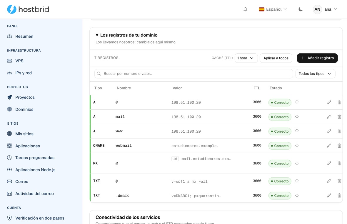 Editor de zona DNS del panel con siete registros A, CNAME, MX y TXT marcados como correctos, con su TTL y el botón de editar en cada fila.
