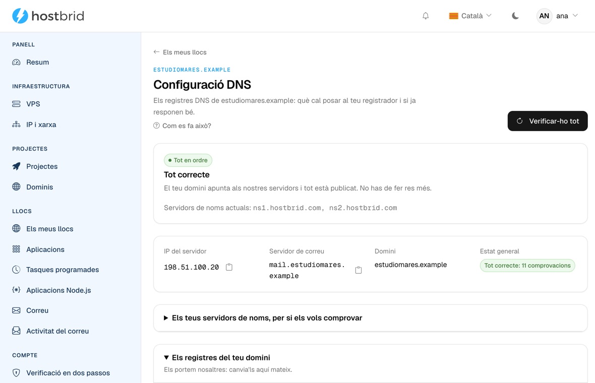 Assistent de DNS del panell amb el diagnòstic en verd: «Tot correcte», la IP a què respon el domini i el seu servidor de correu.