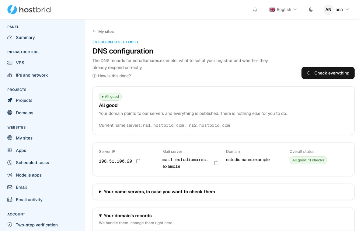 The panel’s DNS wizard with a green diagnosis: “All correct”, the IP the domain answers on and its mail server.