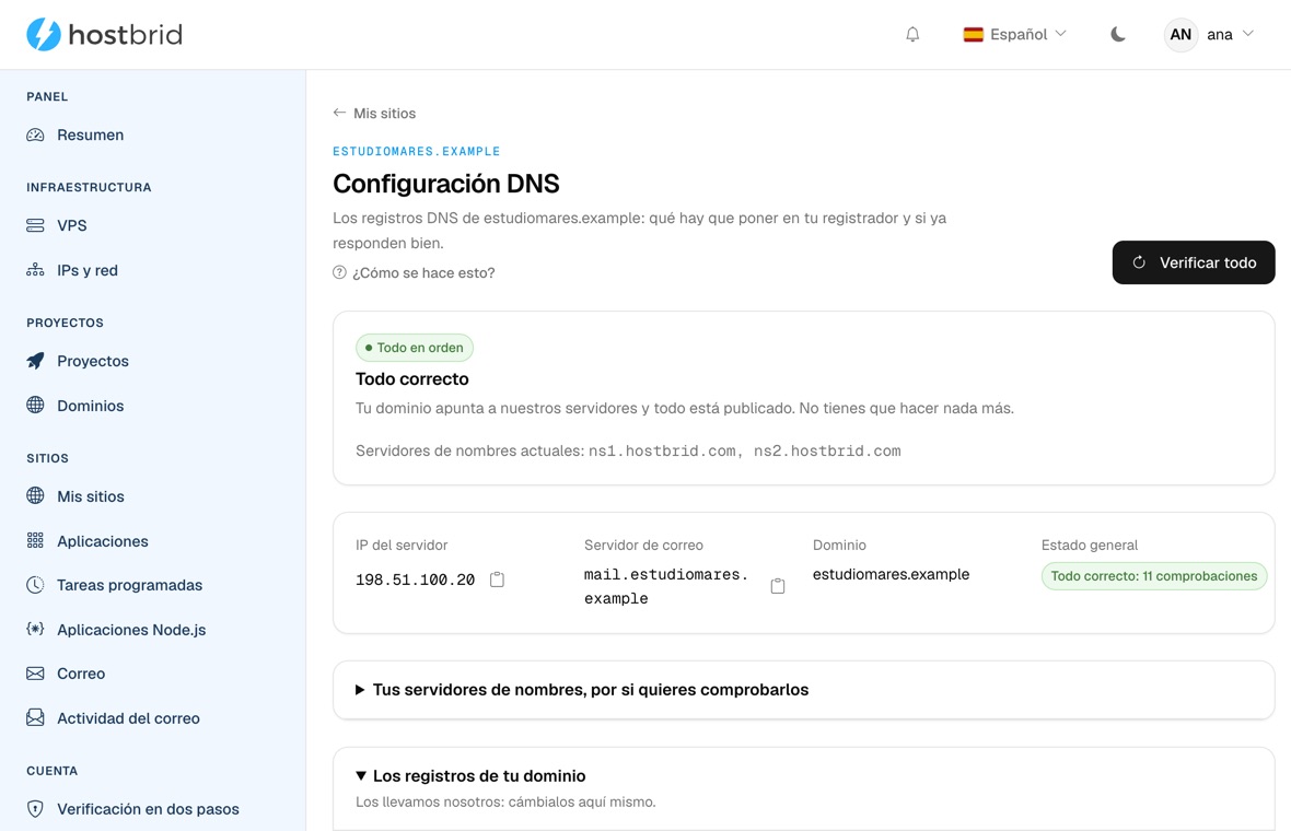 Asistente de DNS del panel con el diagnóstico en verde: «Todo correcto», la IP a la que responde el dominio y su servidor de correo.