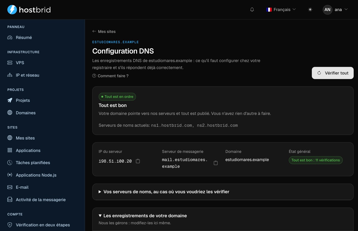 Assistant DNS du panneau avec le diagnostic au vert : « Tout est correct », l’IP à laquelle le domaine répond et son serveur de courrier.