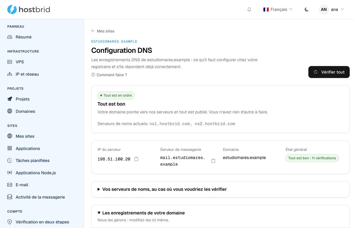 Assistant DNS du panneau avec le diagnostic au vert : « Tout est correct », l’IP à laquelle le domaine répond et son serveur de courrier.