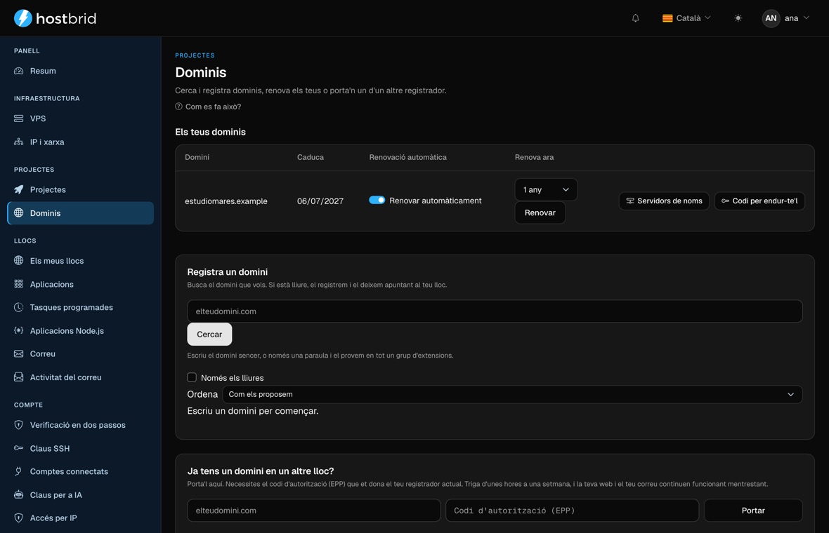 Pantalla de dominis del panell: un domini amb la data de caducitat, la renovació automàtica, els servidors de noms i el codi de trasllat.