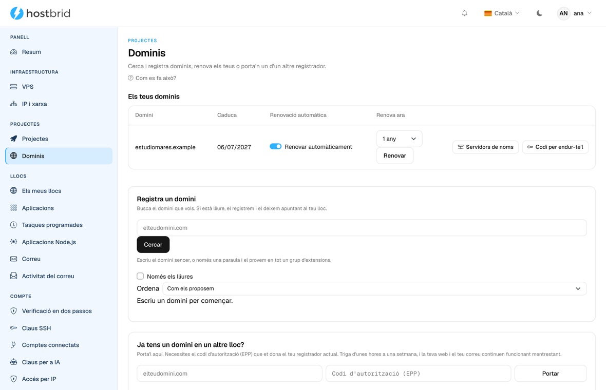 Pantalla de dominis del panell: un domini amb la data de caducitat, la renovació automàtica, els servidors de noms i el codi de trasllat.