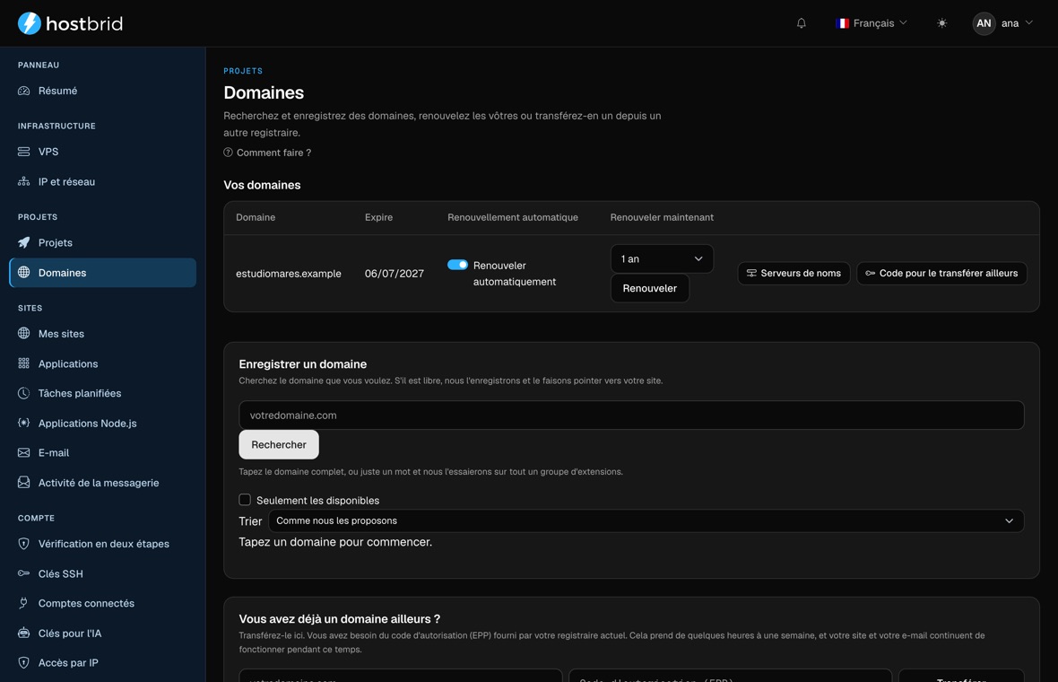 Écran des domaines du panneau : un domaine avec sa date d’expiration, le renouvellement automatique, les serveurs de noms et le code de transfert.