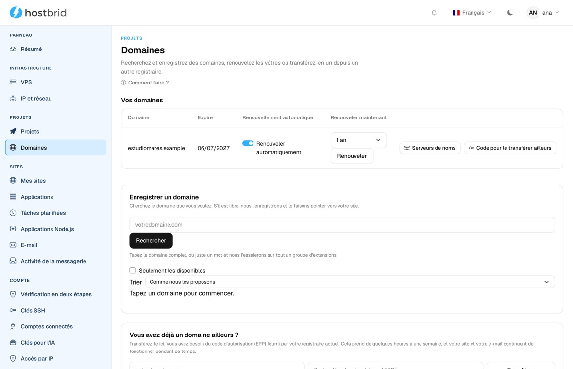 Écran des domaines du panneau : un domaine avec sa date d’expiration, le renouvellement automatique, les serveurs de noms et le code de transfert.